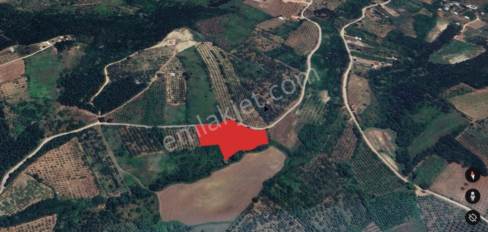 Roma’ Dan Edebey Mahallesi’ Nde Satılık Tarla