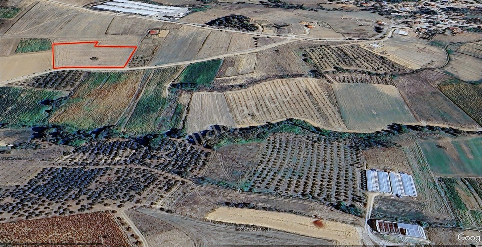 Ömerli'de Satılık Yola Cepheli Tarla - Görsel 15