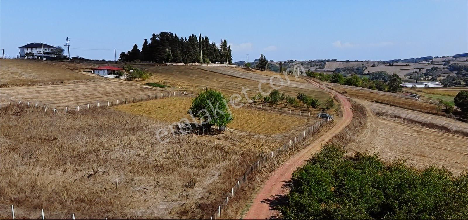 Ömerli'de Satılık Yola Cepheli Tarla - Görsel 11