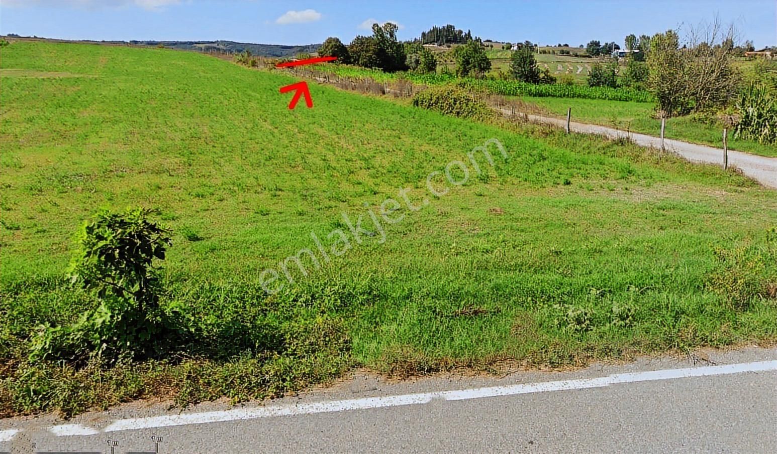 Ömerli'de Satılık Yola Cepheli Tarla - Görsel 8