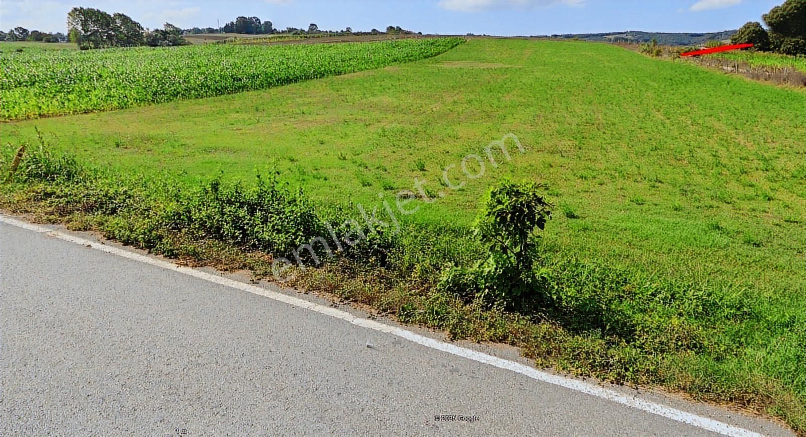 Ömerli'de Satılık Yola Cepheli Tarla - Görsel 7