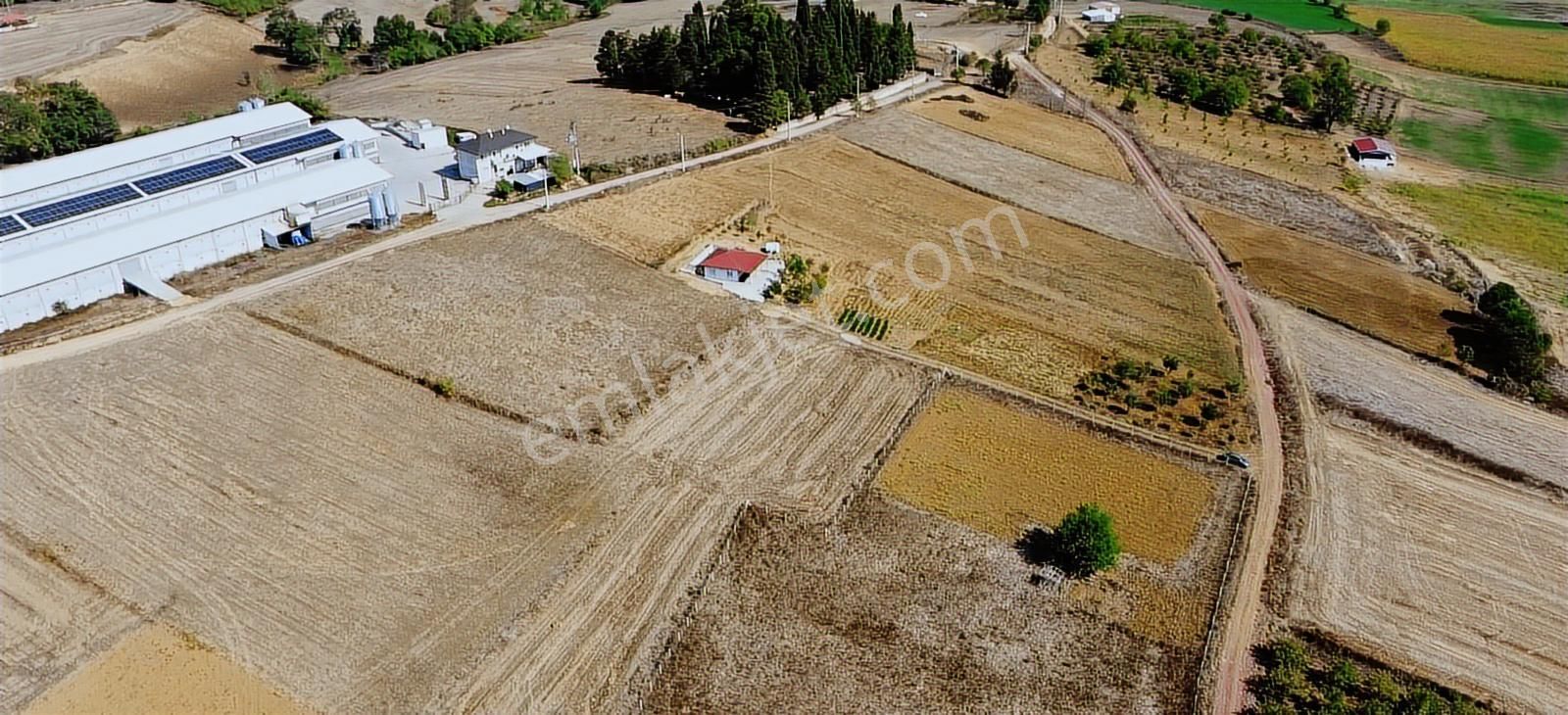 Ömerli'de Satılık Yola Cepheli Tarla - Görsel 16