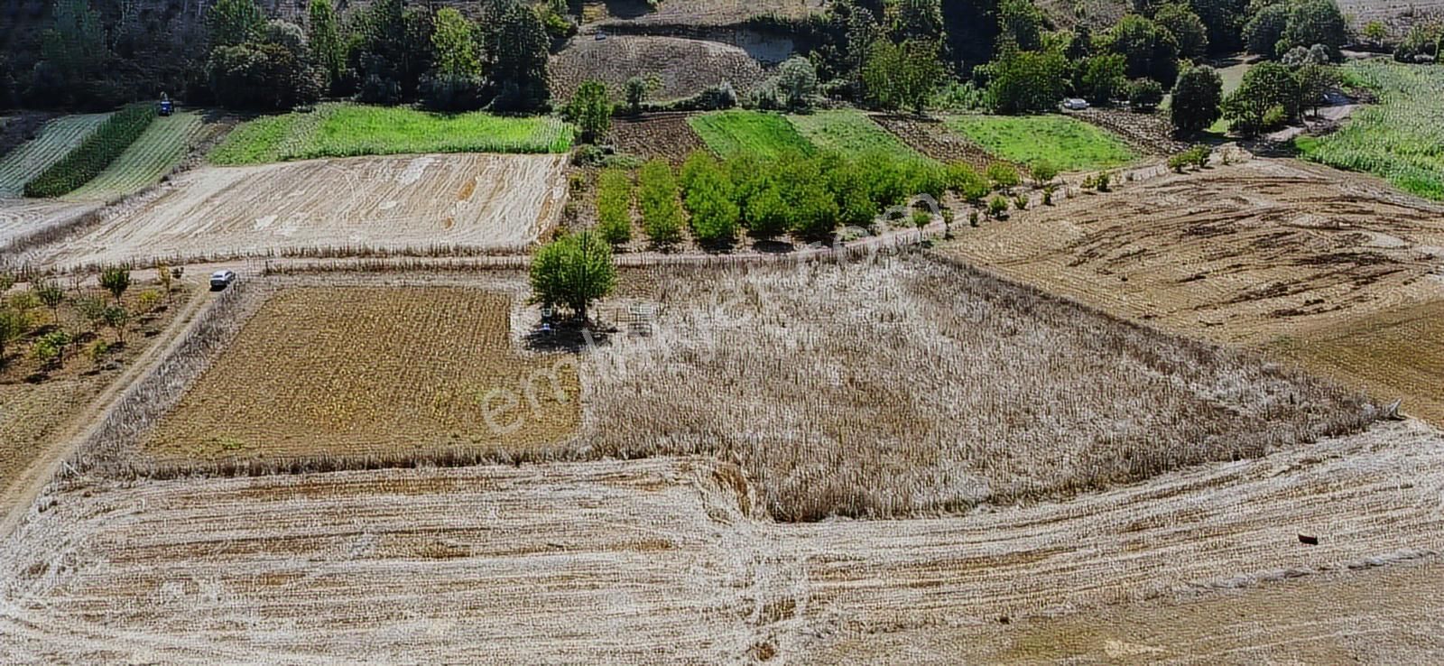 Ömerli'de Satılık Yola Cepheli Tarla - Görsel 22