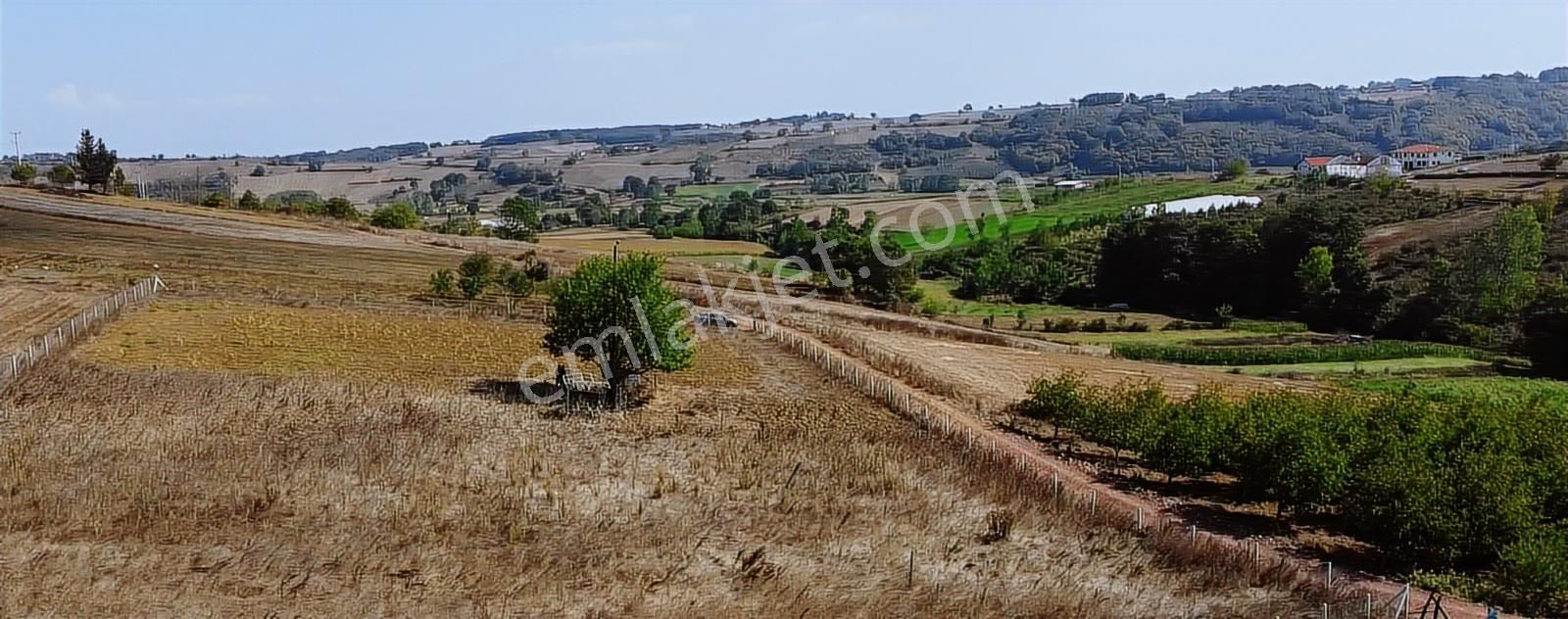 Ömerli'de Satılık Yola Cepheli Tarla - Görsel 23