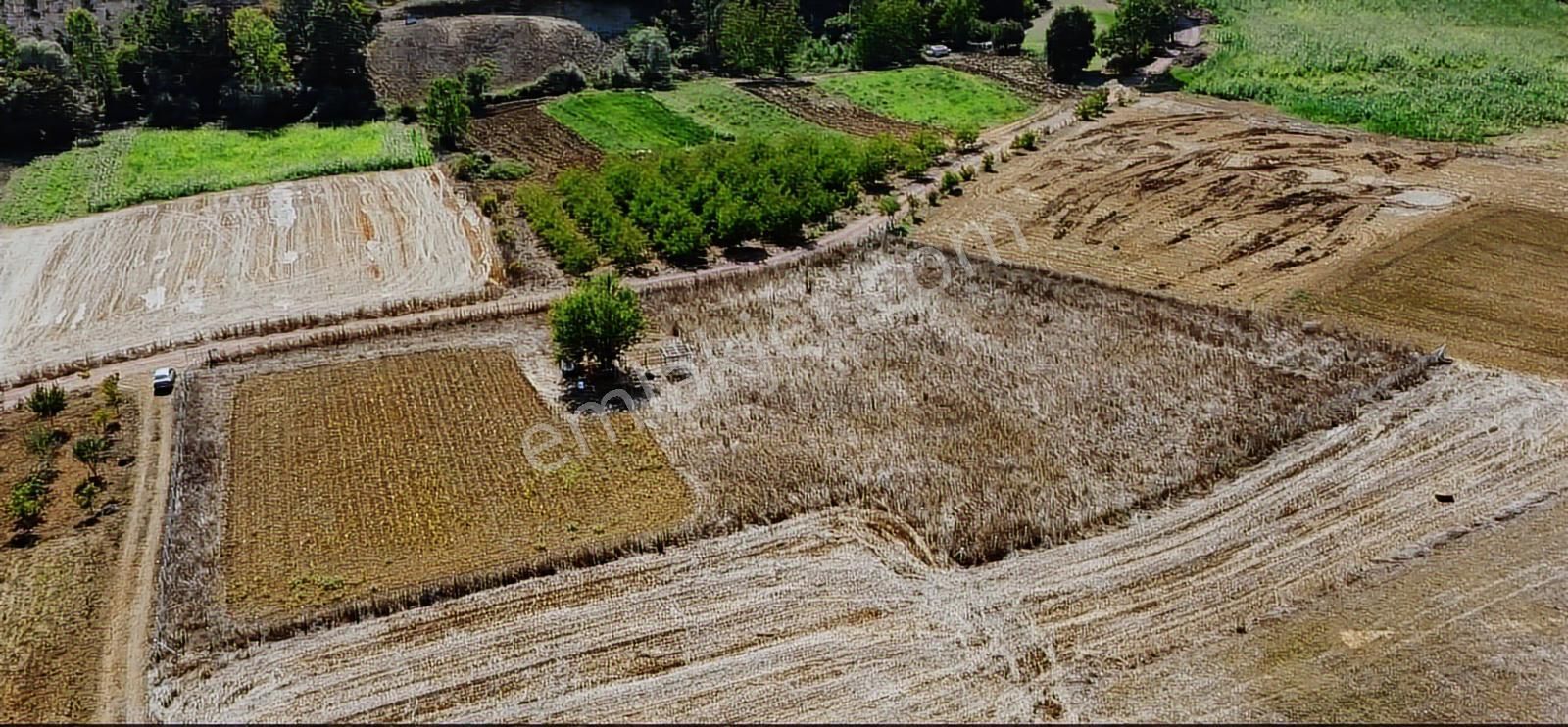 Ömerli'de Satılık Yola Cepheli Tarla