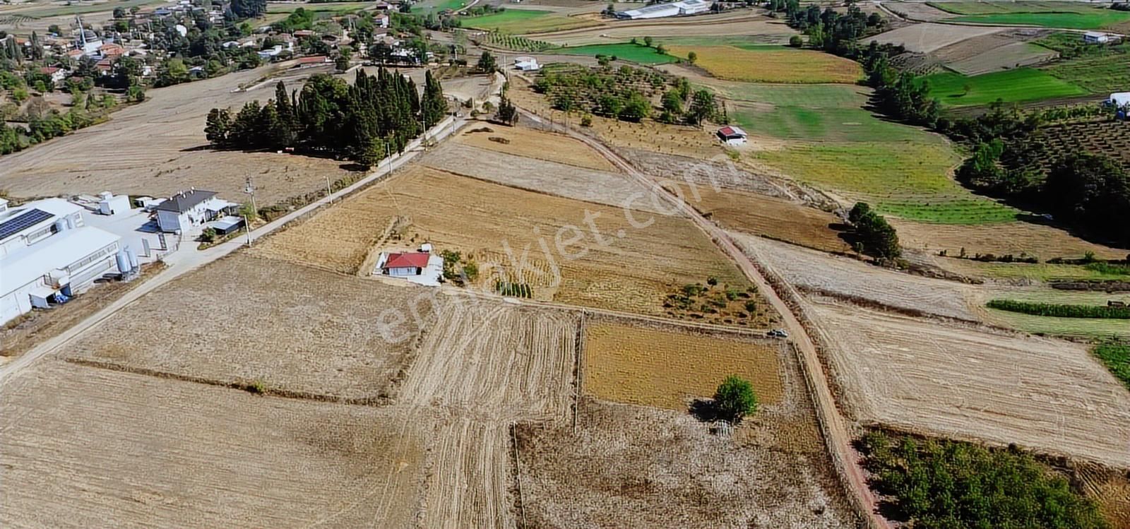 Ömerli'de Satılık Yola Cepheli Tarla - Görsel 17