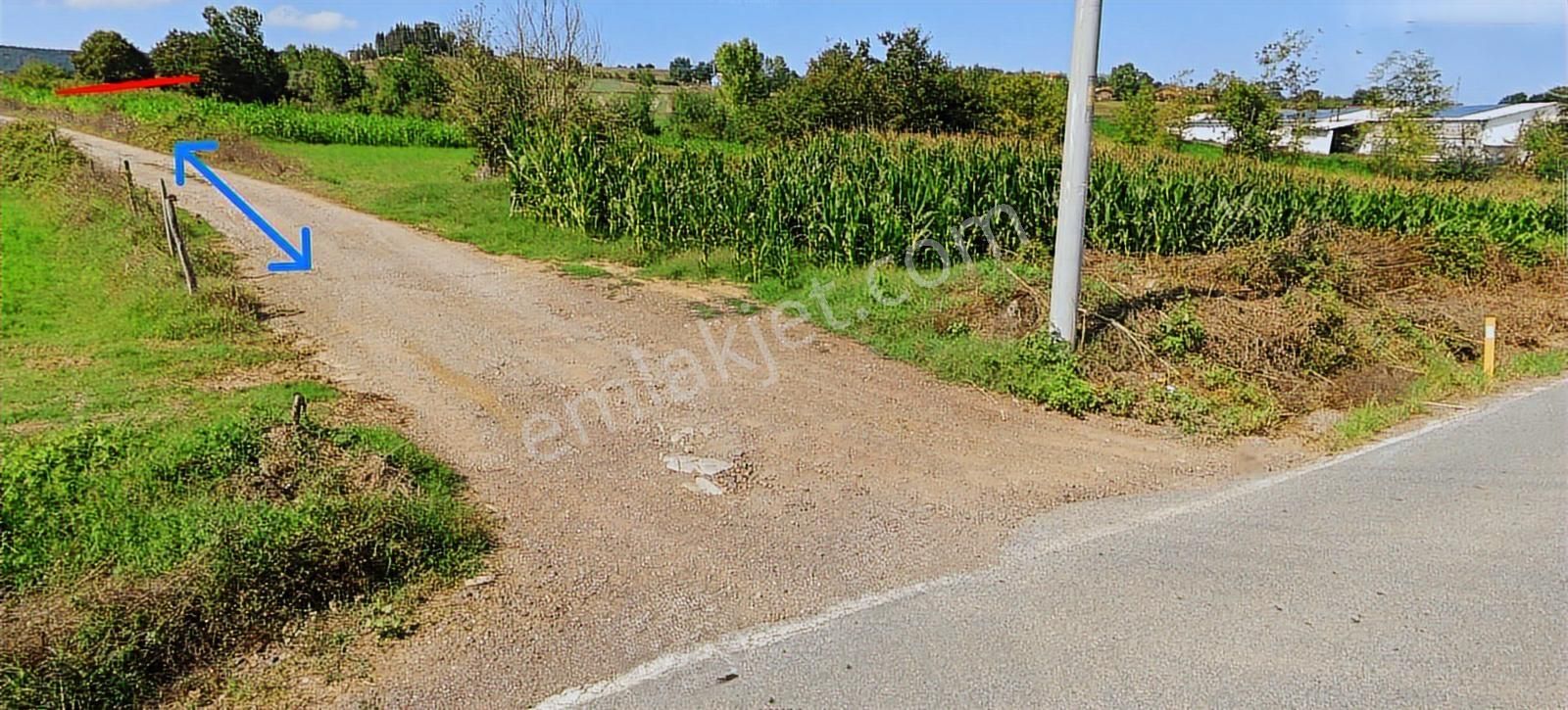 Ömerli'de Satılık Yola Cepheli Tarla - Görsel 9