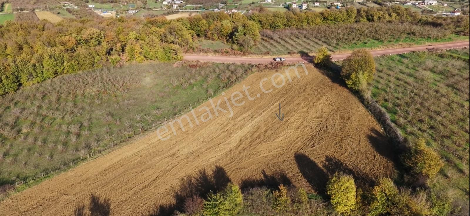 Çalköy'de Plaja Yakın Satilik %5 İmarlı Tarla