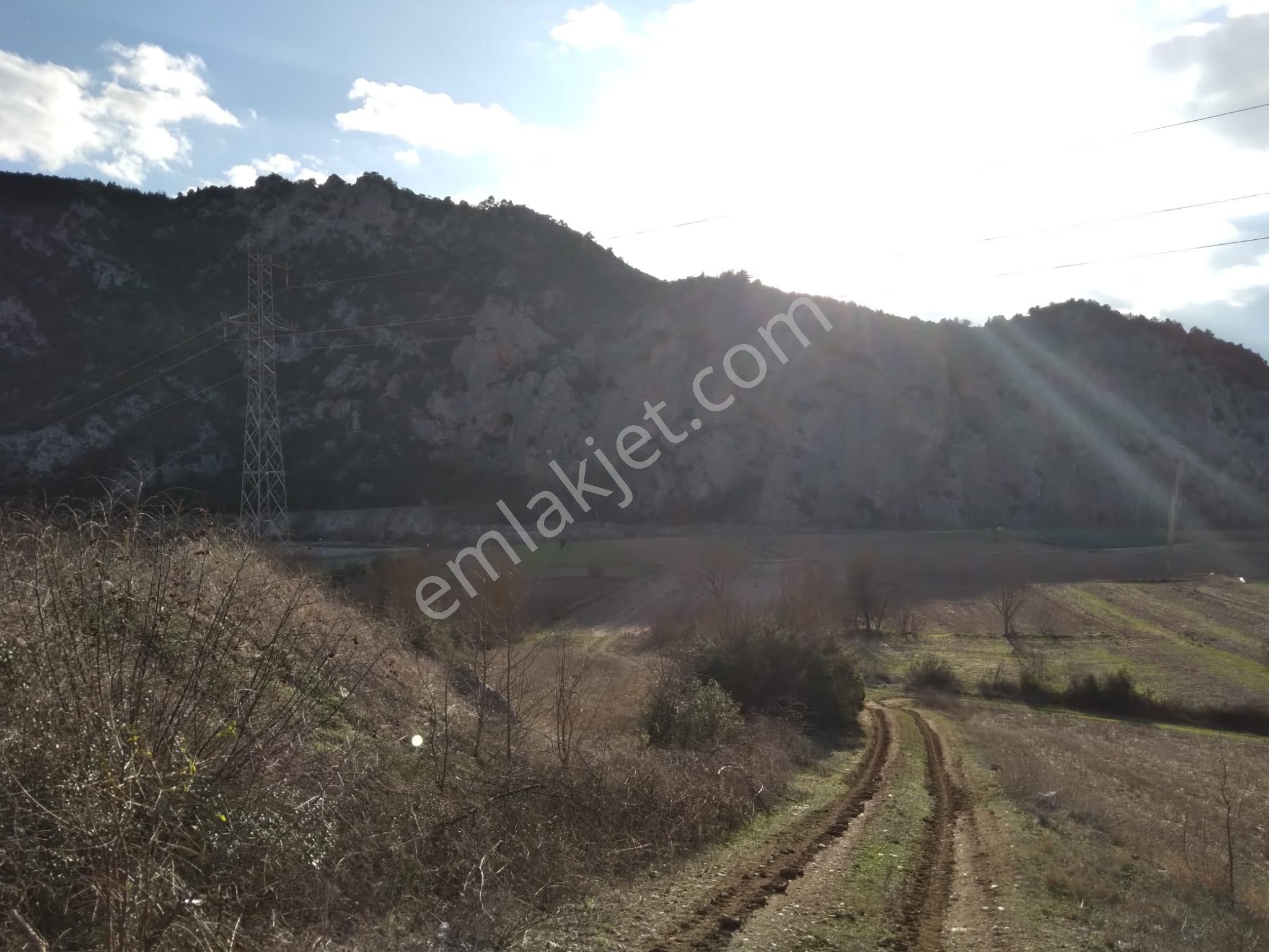 Sahibinden Satılık Muhteşem Konumlu Zeytinlik