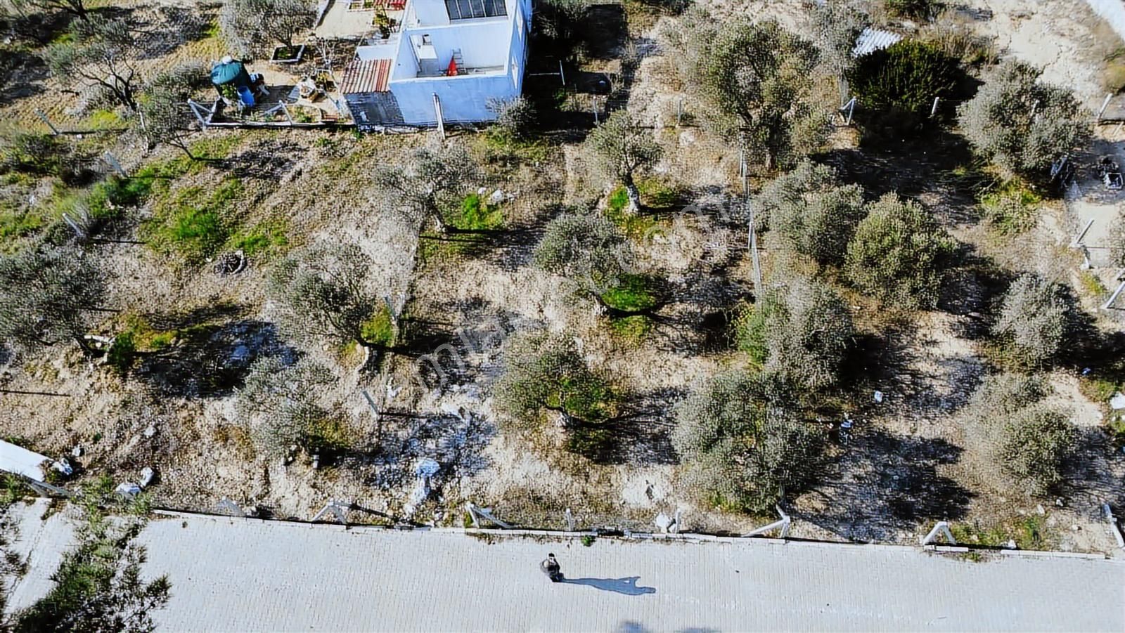 Yazıbaşı Mah Satılık 320m2 Manzaralı Bahçe (takasa Açık) - Görsel 29