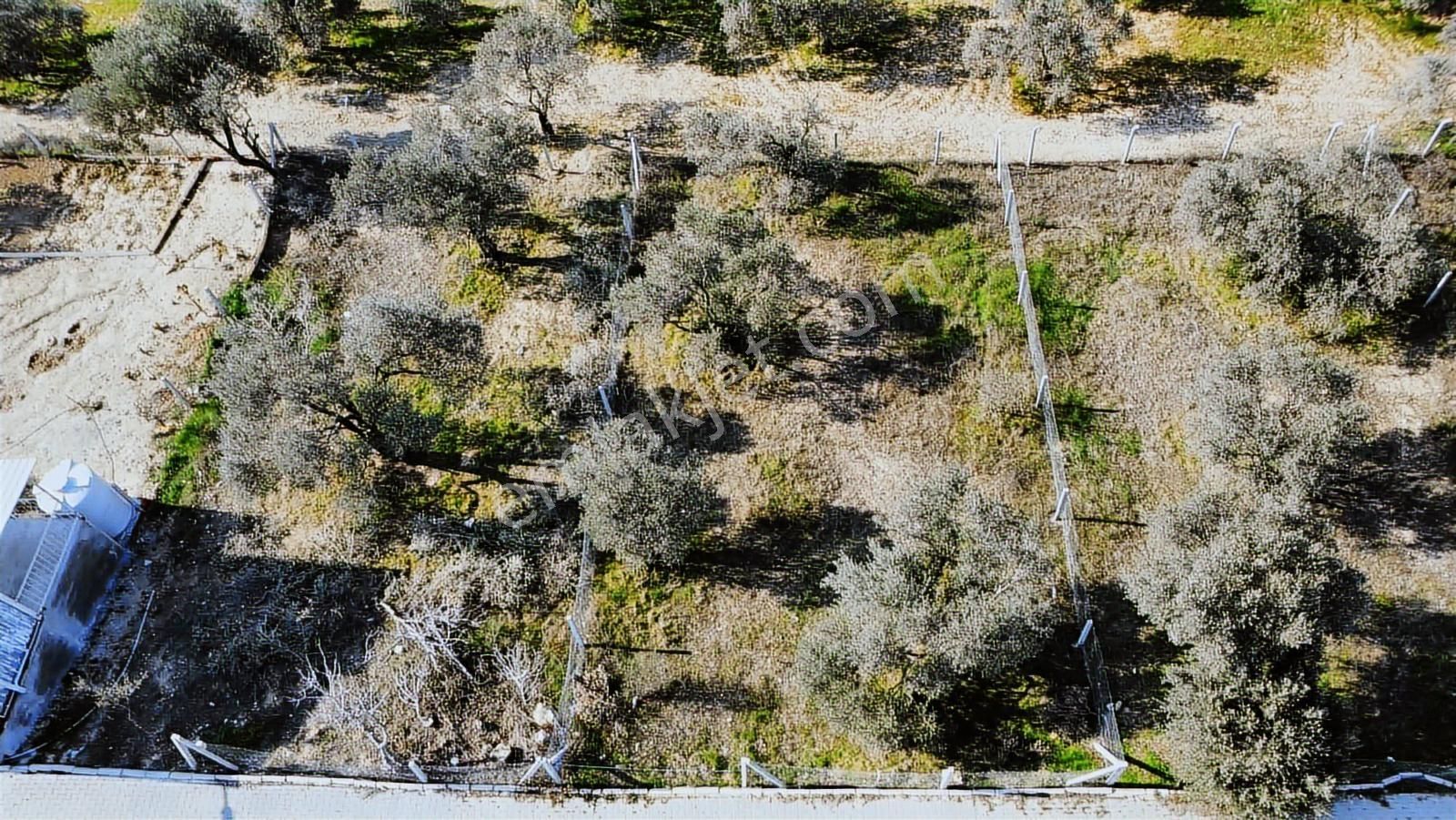 Yazıbaşı Mah Satılık 320m2 Manzaralı Bahçe (takasa Açık) - Görsel 26