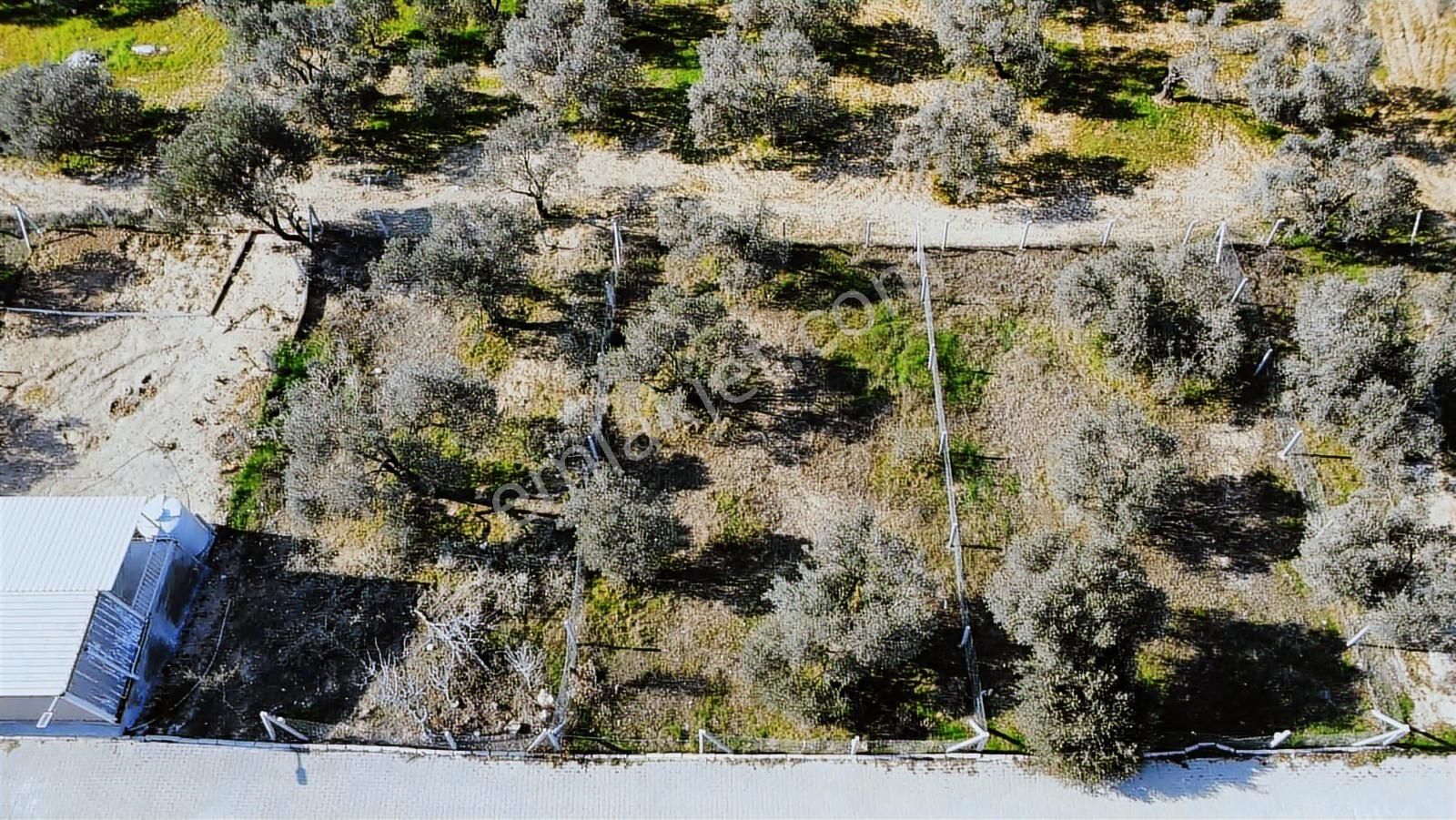 Yazıbaşı Mah Satılık 320m2 Manzaralı Bahçe (takasa Açık) - Görsel 18