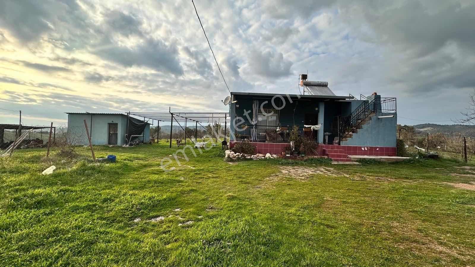 Caddeye Yakın, 3 Tarafı Yola Cepheli | Seferihisarde Kupon Arazi - Görsel 25