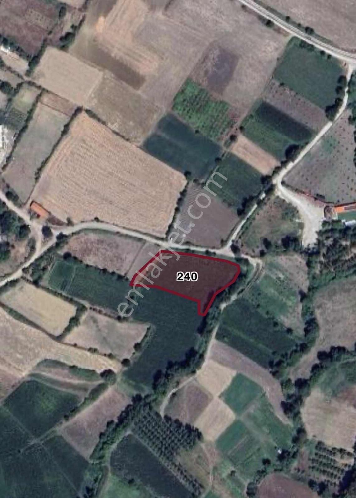 Bm Real Estate Bursa Mustafakemalpaşa'da Satılık Kupon Arazi