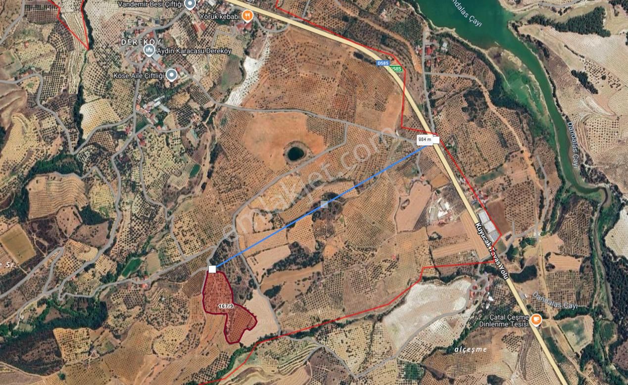 Anayola Yakın Büyük Havuzlu Zeytinlik 26.500 M2 - Görsel 24