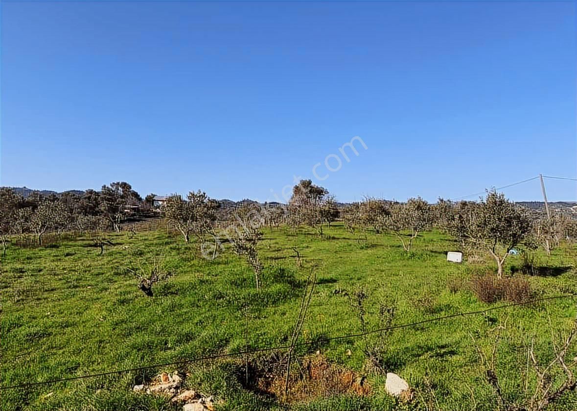 Caddeye Yakın, 3 Tarafı Yola Cepheli | Seferihisarda Kupon Arazi - Görsel 12