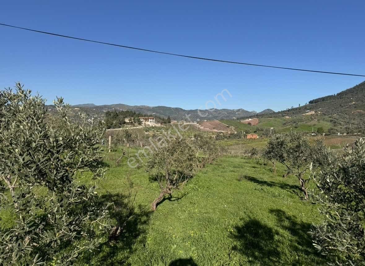 Caddeye Yakın, 3 Tarafı Yola Cepheli | Seferihisarda Kupon Arazi - Görsel 4