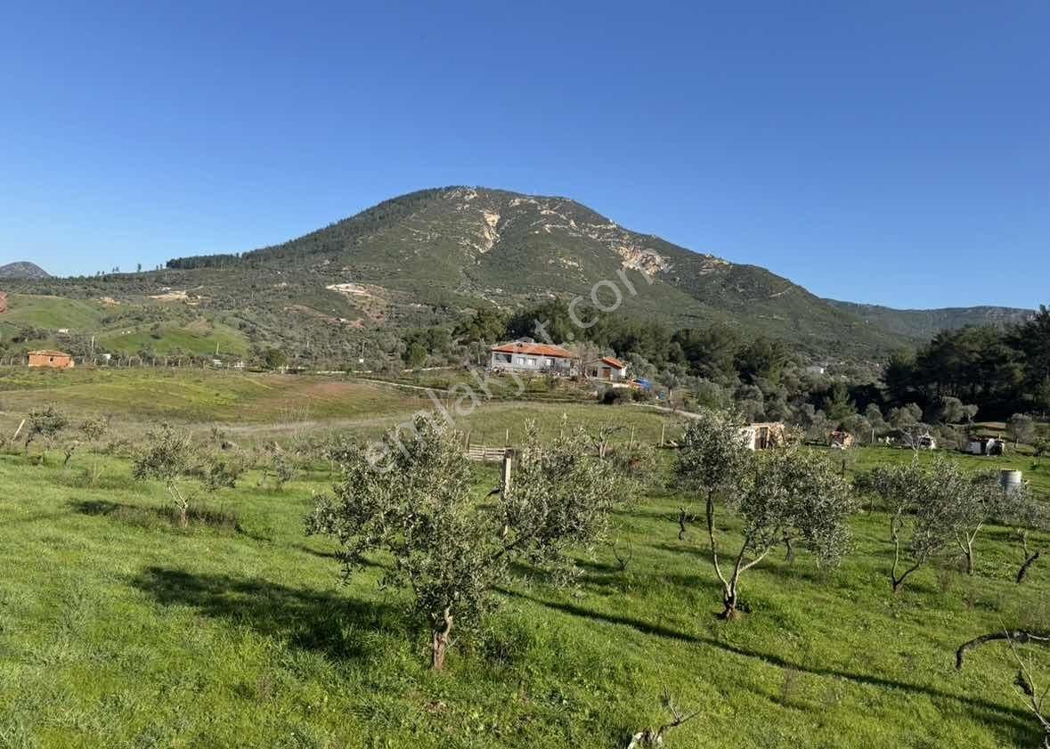 Caddeye Yakın, 3 Tarafı Yola Cepheli | Seferihisarda Kupon Arazi - Görsel 9