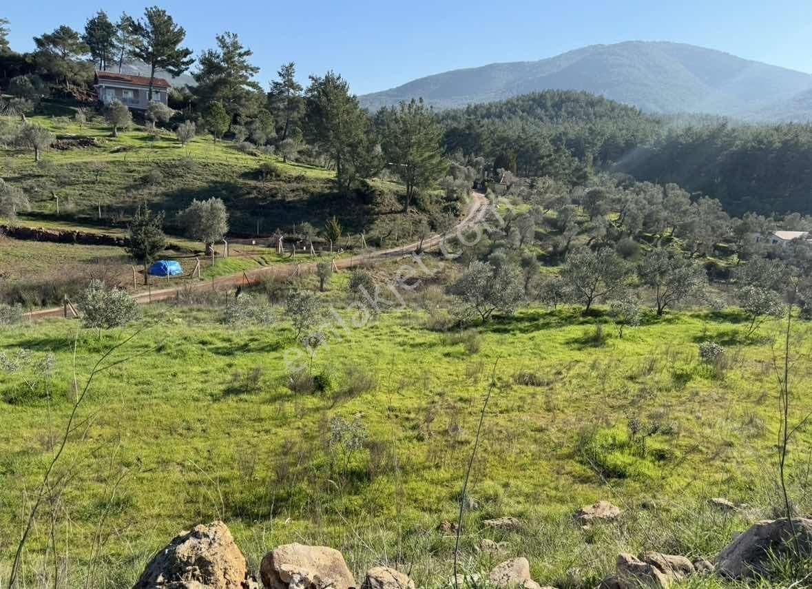 Caddeye Yakın, 3 Tarafı Yola Cepheli | Seferihisarda Kupon Arazi - Görsel 22