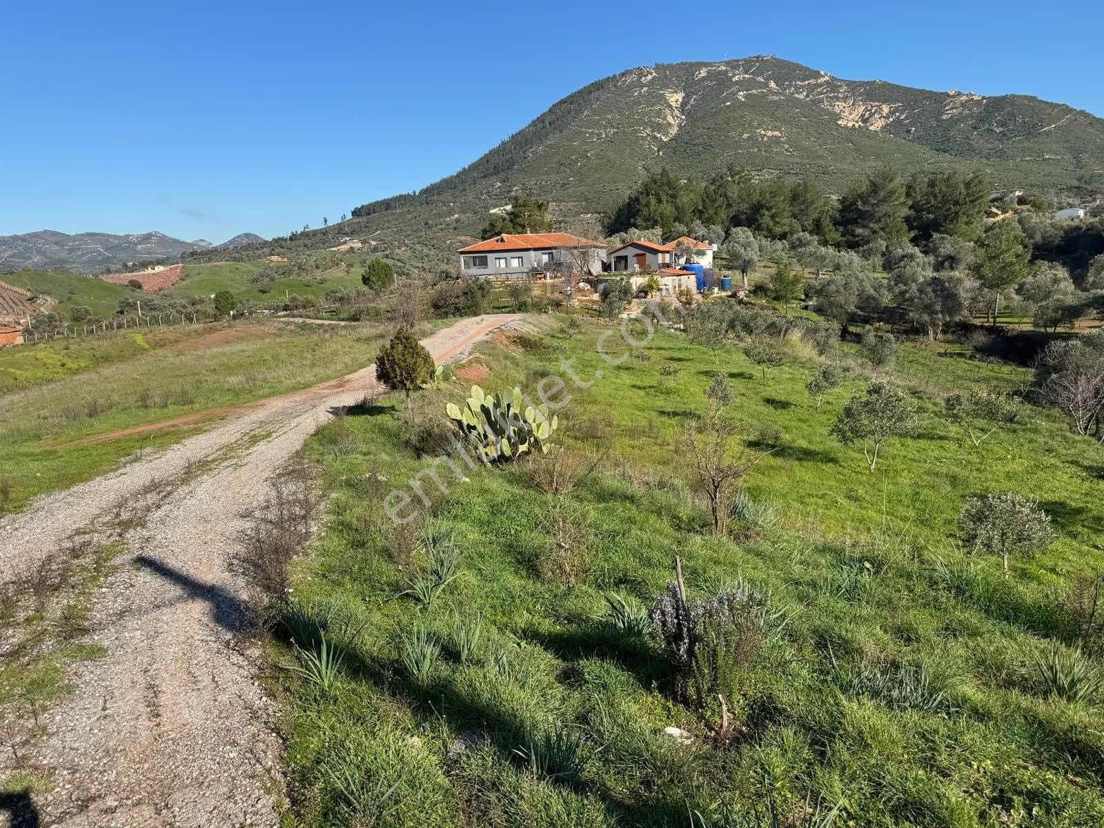 Caddeye Yakın, 3 Tarafı Yola Cepheli | Seferihisarda Kupon Arazi - Görsel 35