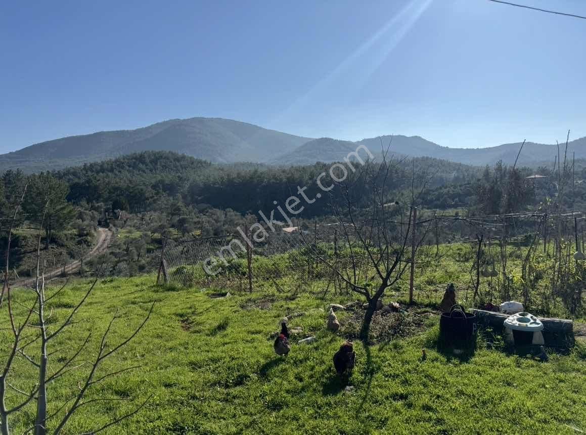 Caddeye Yakın, 3 Tarafı Yola Cepheli | Seferihisarda Kupon Arazi - Görsel 25