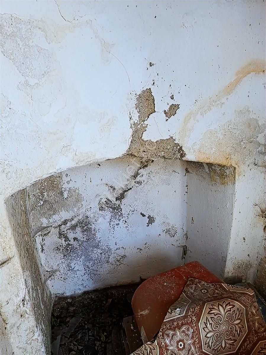 Havran'da Köy Yaşamı İsteyenler 260mk.bahçeli Müstakilev Satılık - Görsel 4