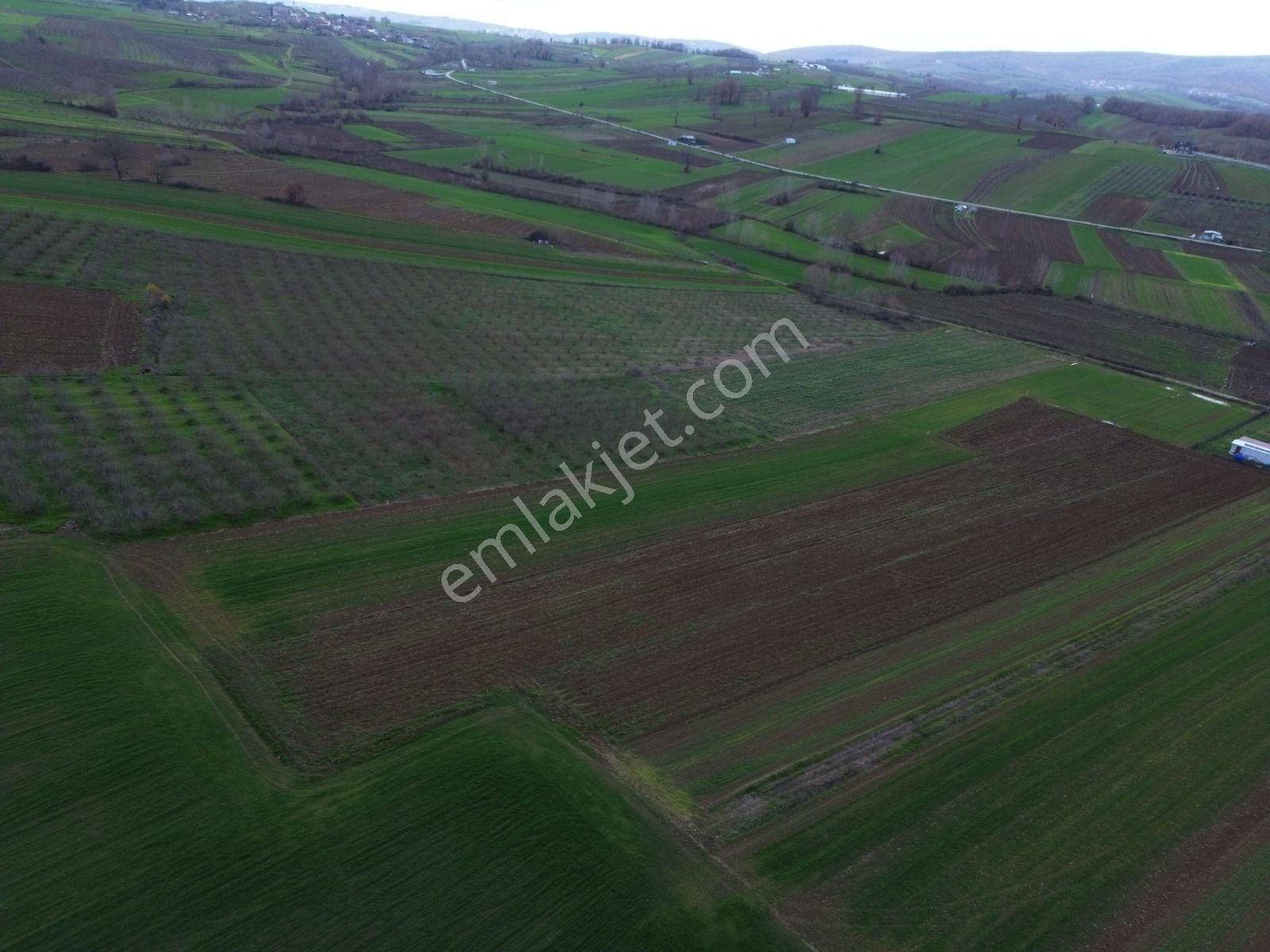 Arazi Uzmanı Recep Davutoğlu'ndan Yatırımlık Tarla - Görsel 12