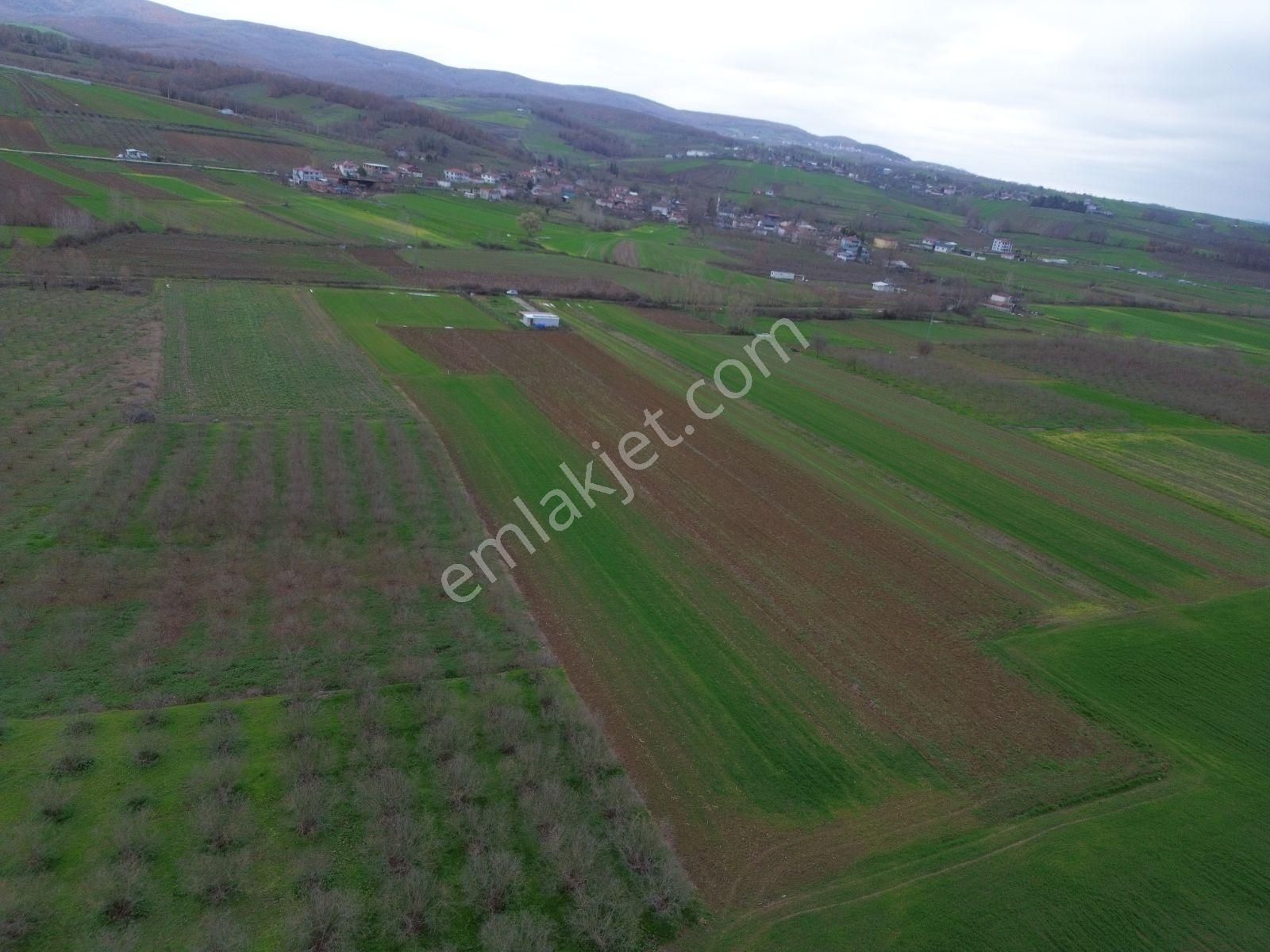 Arazi Uzmanı Recep Davutoğlu'ndan Yatırımlık Tarla - Görsel 3