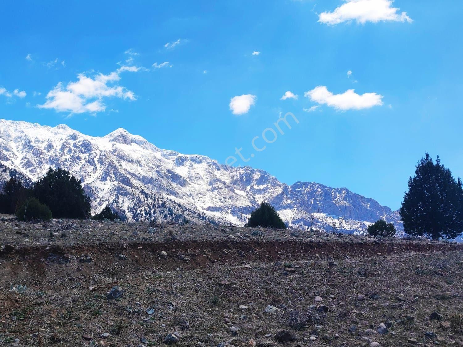 Pozantı Kar Emlak Tan Aşçıbekirli Fenese Mevkiinde Yaylalık 400 M2 Satılık Arsa - Görsel 16