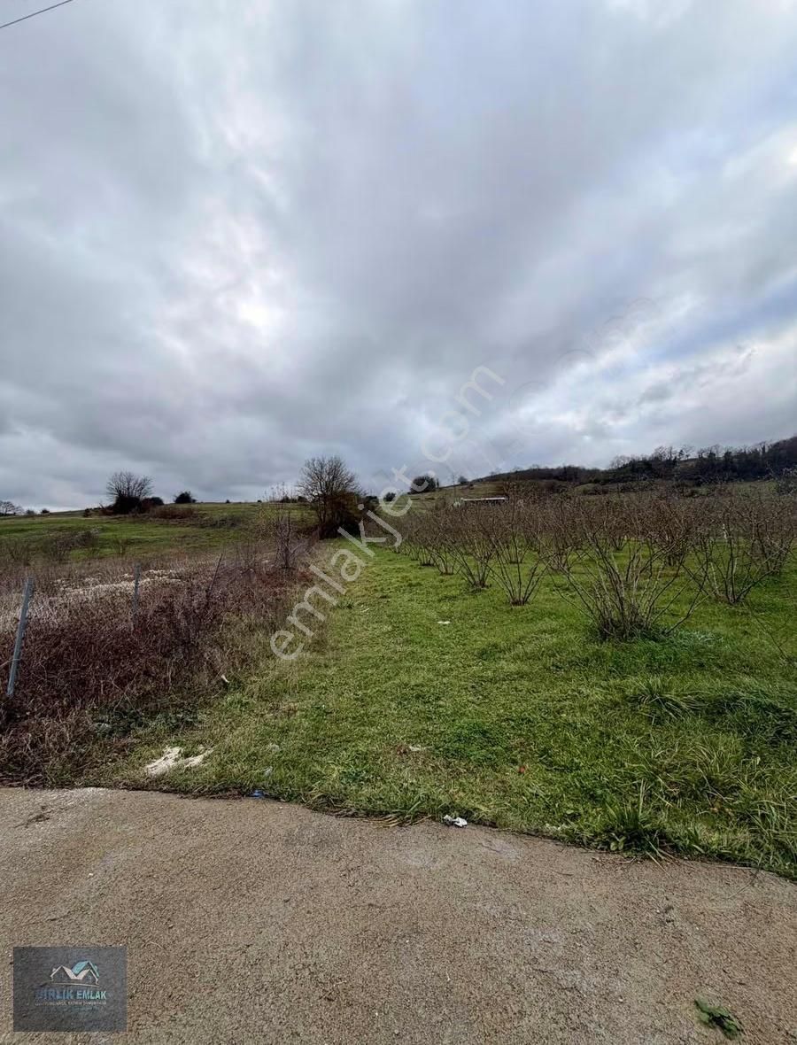 Şile Ağva İzmit Ana Asfalta Yola Cepheli Kupon Arsa - Görsel 6