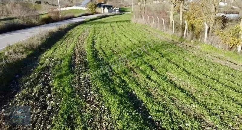 Asfalt Yola Cepheli Elk Su Var Şile Ağva İzmit Güzergahında