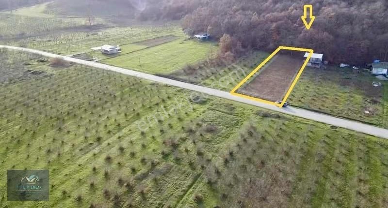 Şile Ağva İzmit Ana Asfalt Yola Cepheli Kupon - Görsel 27
