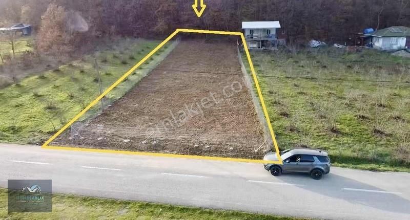 Şile Ağva İzmit Ana Asfalt Yola Cepheli Kupon - Görsel 2