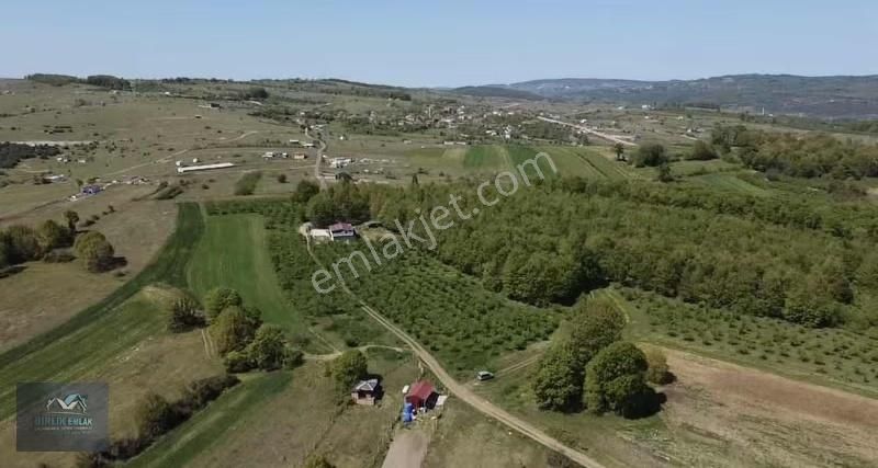 Şile Ağva İzmit Güzergahında Resmi Yola Cepheli Elk Hatları Var - Görsel 7