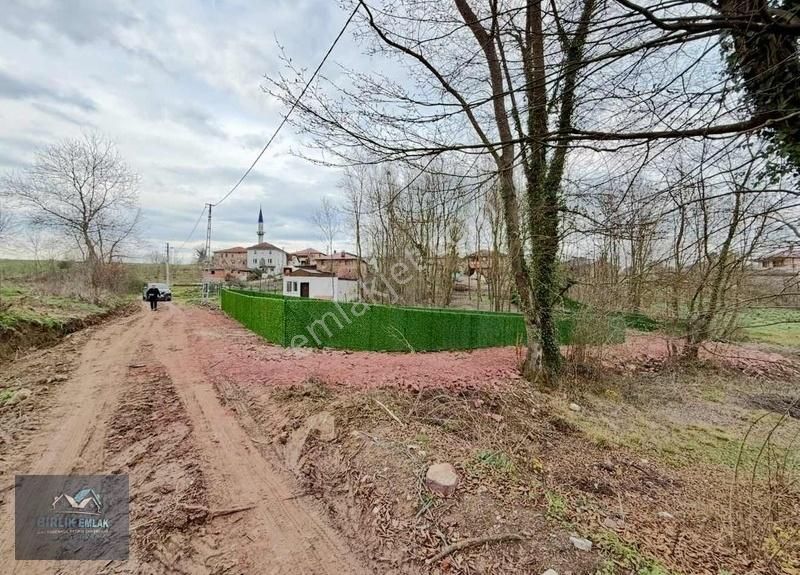 Resmi Yolu Var Elk Su Başında Şile Ağva İzmit Güzergahında - Görsel 11