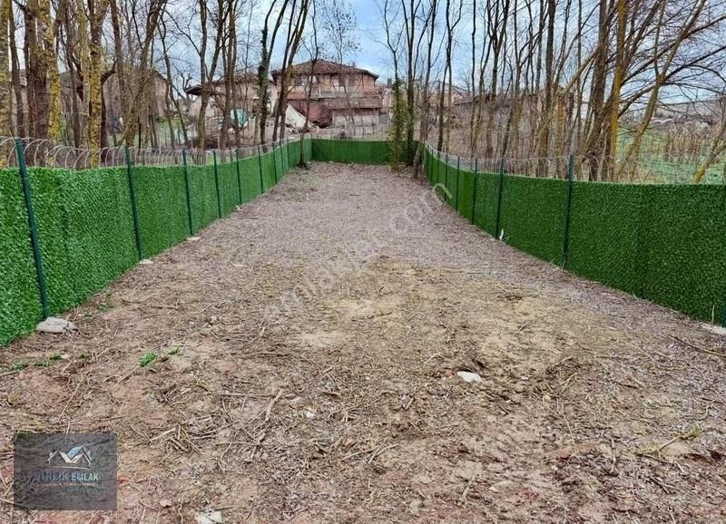 Resmi Yolu Var Elk Su Başında Şile Ağva İzmit Güzergahında - Görsel 21