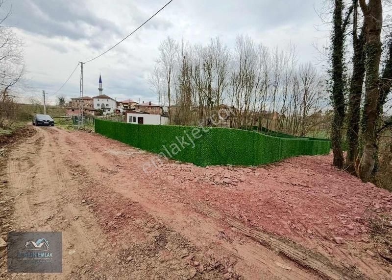 Resmi Yolu Var Elk Su Başında Şile Ağva İzmit Güzergahında - Görsel 13