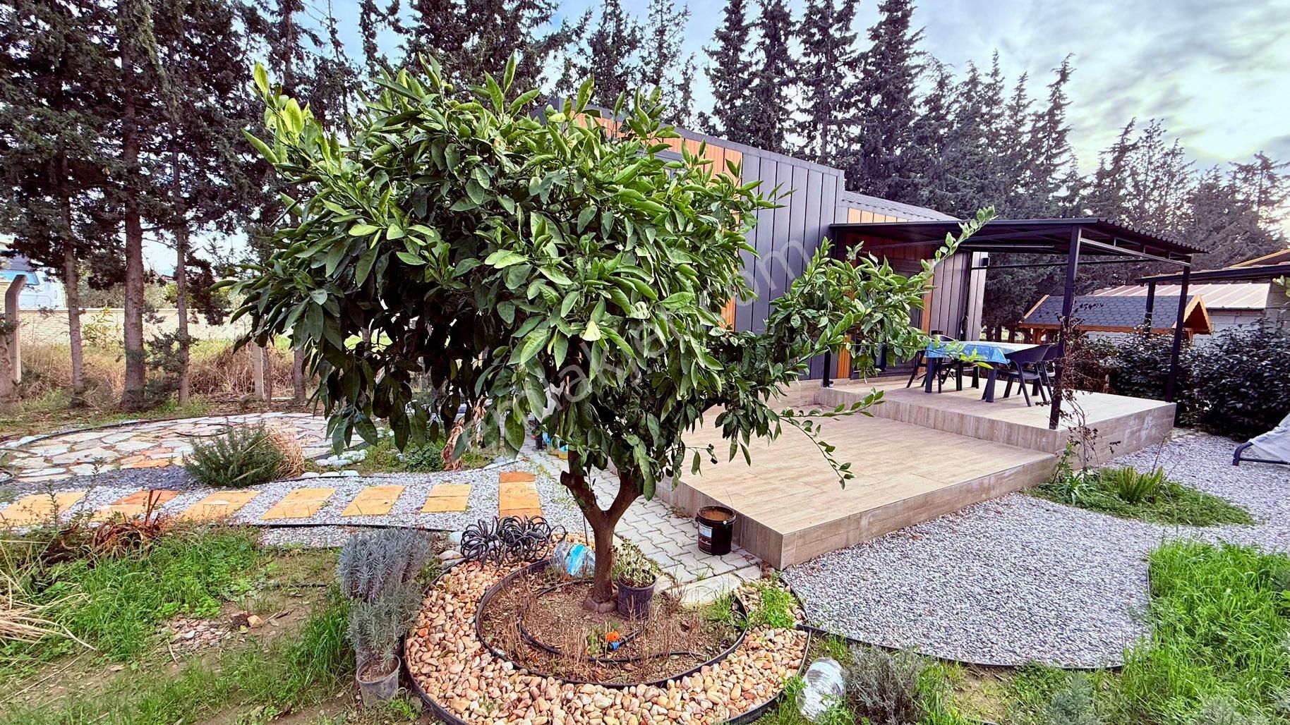 Rw Akar Seferihisar Köyüm Sığacık Koopertaifinde 373 M2 Bahçe Ve Komple Eşyalı 28 M2mobil Tiny House - Görsel 3