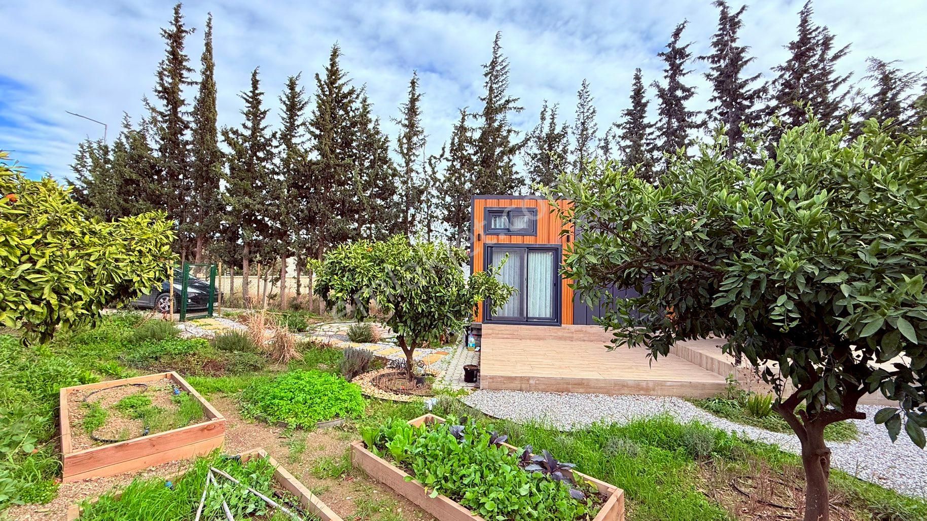 Rw Akar Seferihisar Köyüm Sığacık Koopertaifinde 373 M2 Bahçe Ve Komple Eşyalı 28 M2mobil Tiny House - Görsel 2
