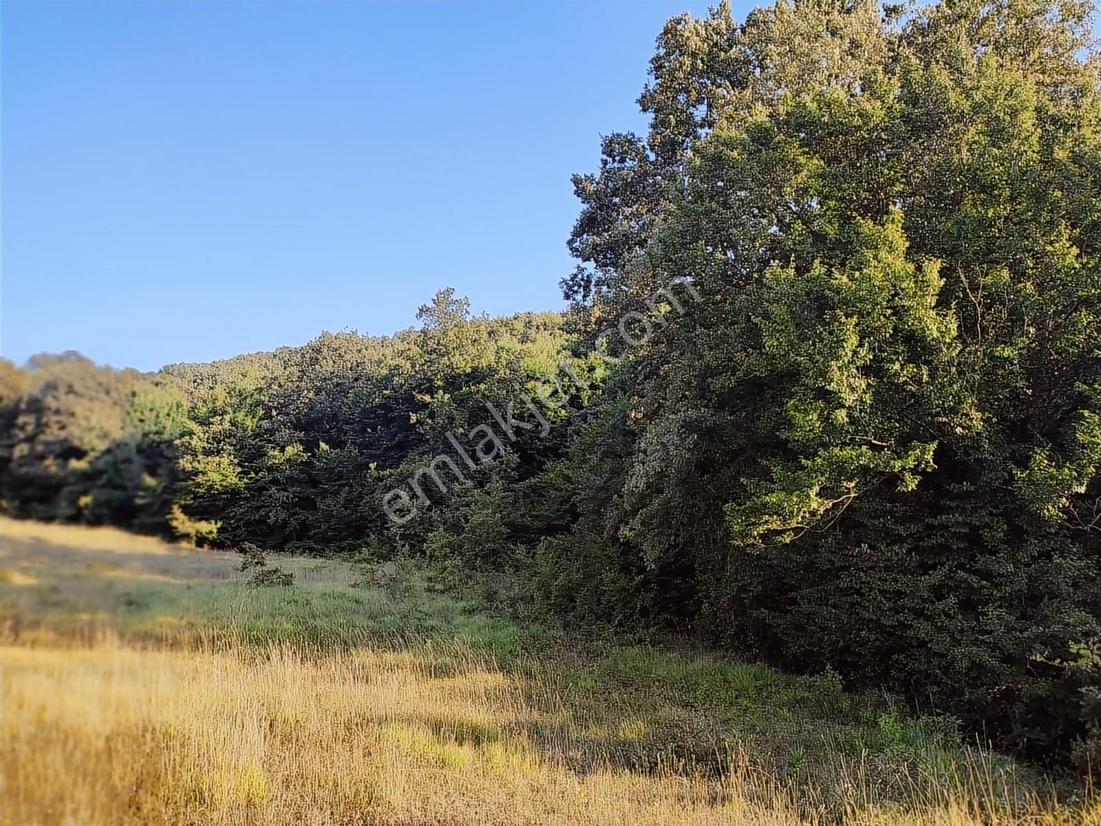 Tarcanlar'dan İzmit Guvercinlik'te Anayola Cephe 17145m2 Tarla - Görsel 32