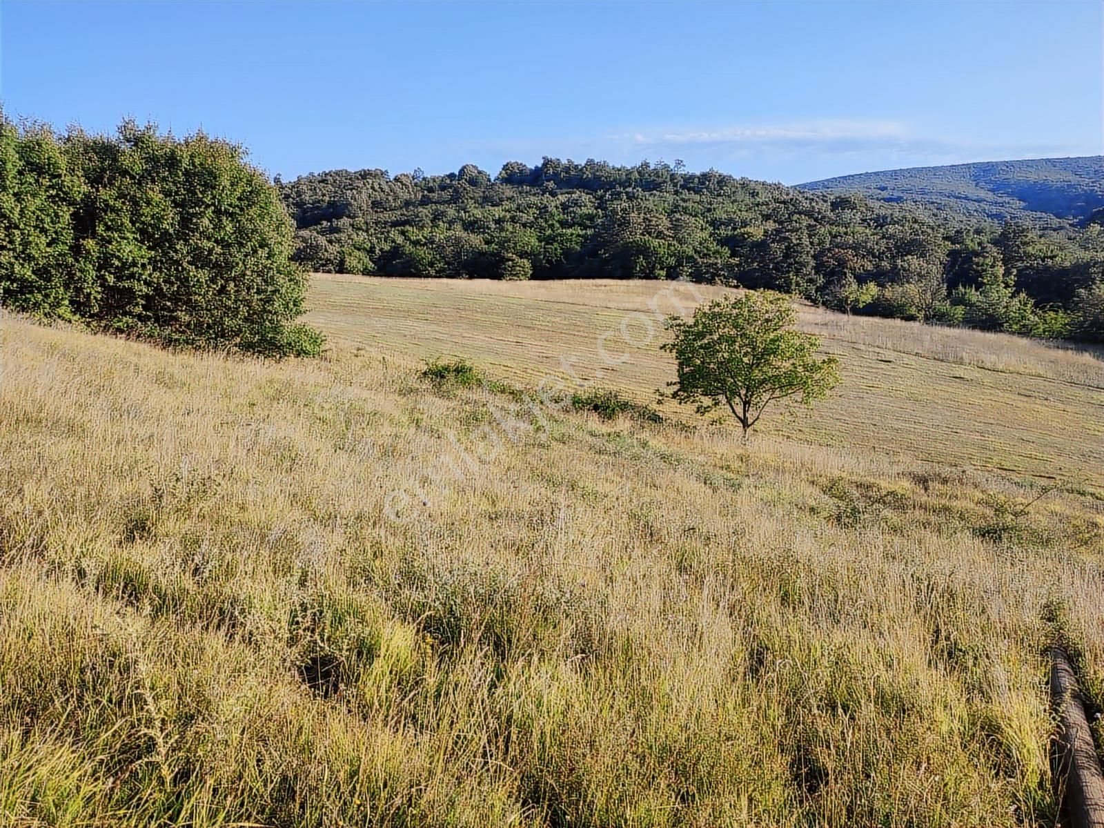 Tarcanlar'dan İzmit Guvercinlik'te Anayola Cephe 17145m2 Tarla - Görsel 20