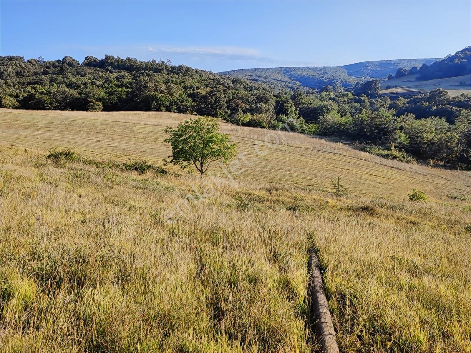Tarcanlar'dan İzmit Guvercinlik'te Anayola Cephe 17145m2 Tarla - Görsel 3