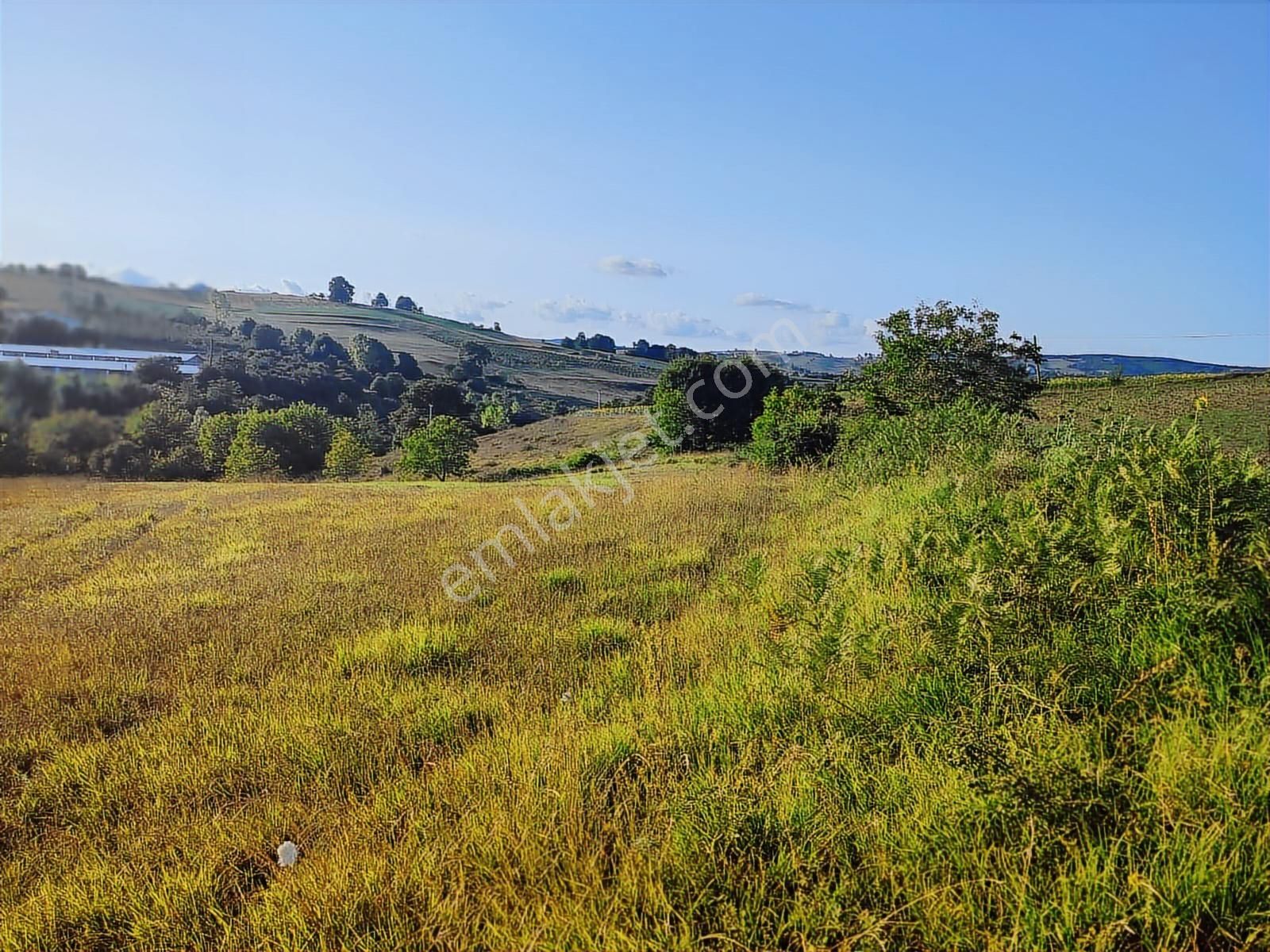 Tarcanlar'dan İzmit Guvercinlik'te Anayola Cephe 17145m2 Tarla - Görsel 18