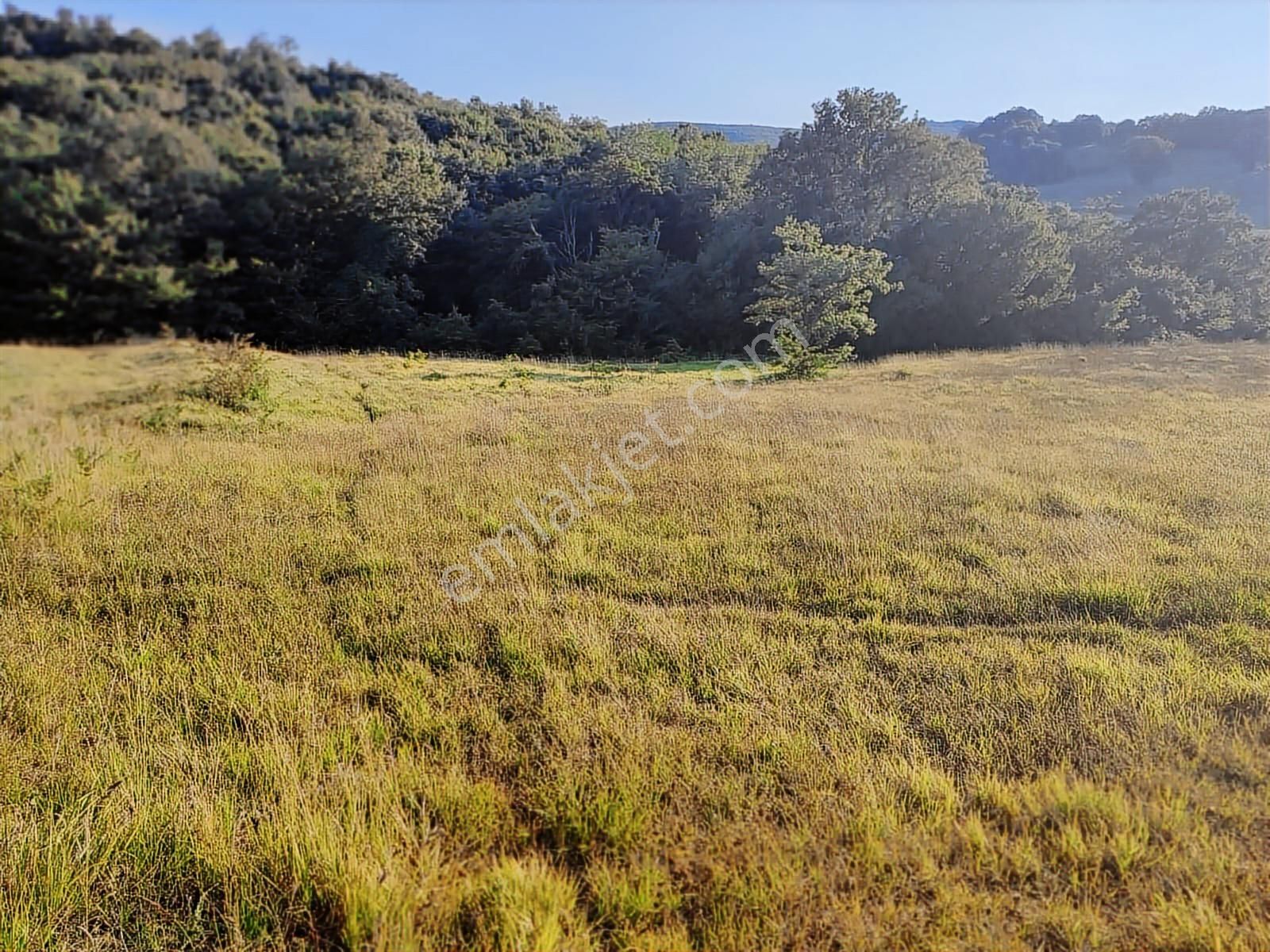 Tarcanlar'dan İzmit Guvercinlik'te Anayola Cephe 17145m2 Tarla - Görsel 23