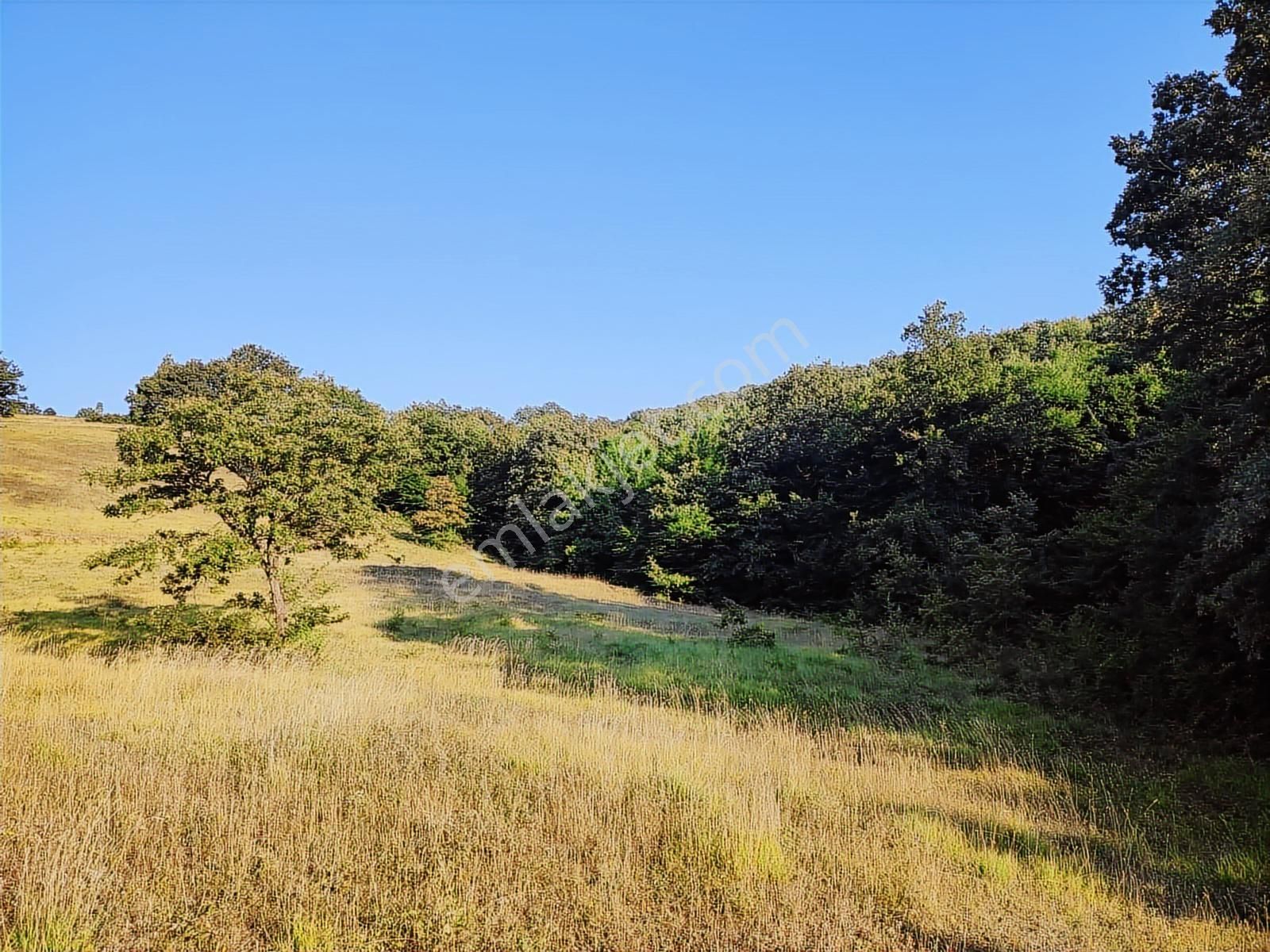 Tarcanlar'dan İzmit Guvercinlik'te Anayola Cephe 17145m2 Tarla - Görsel 34