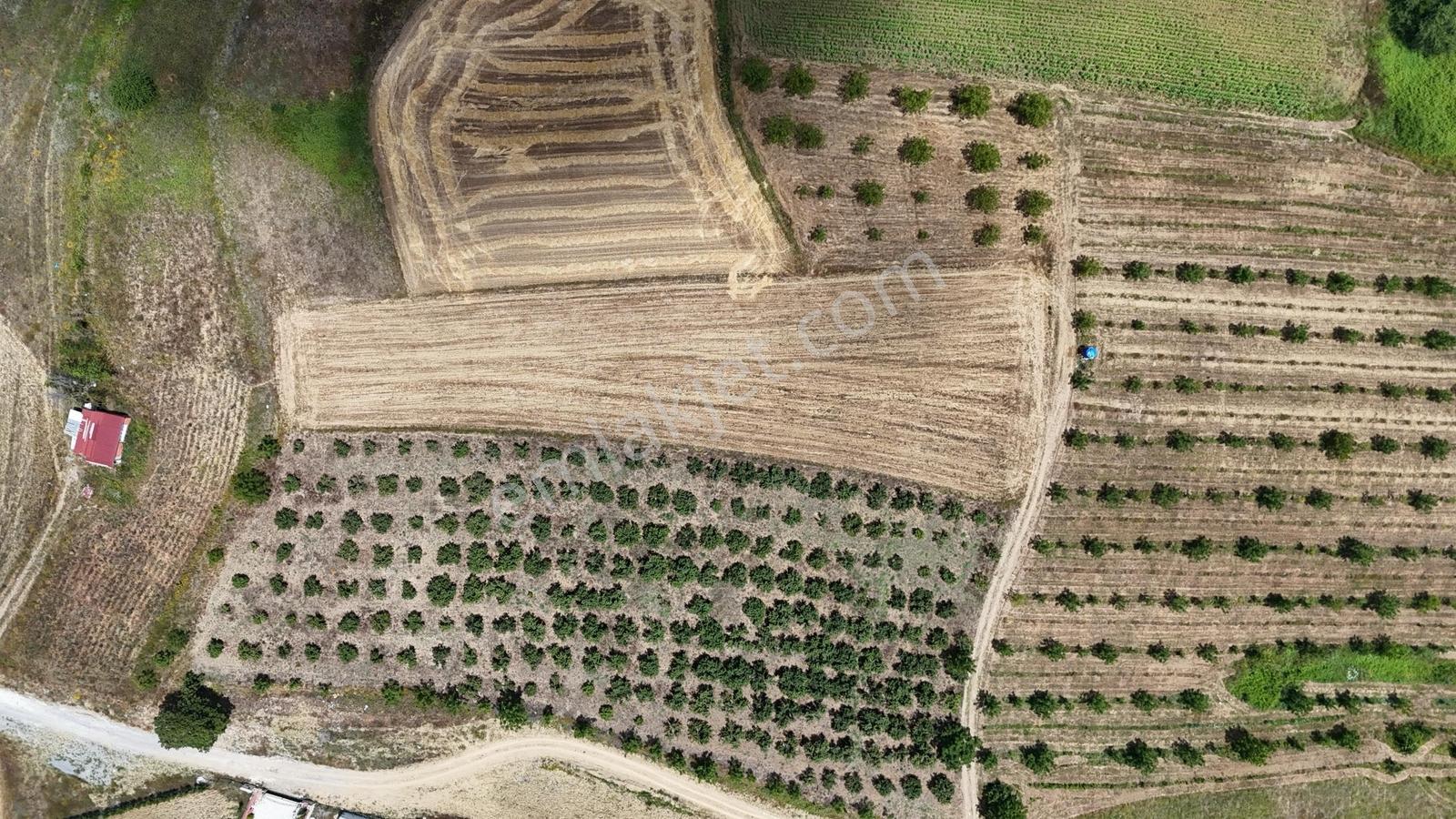 Tarcanlar'dan Akmeşe Bağlıca'da Yatırımlık 4085m2 Tarla - Görsel 4