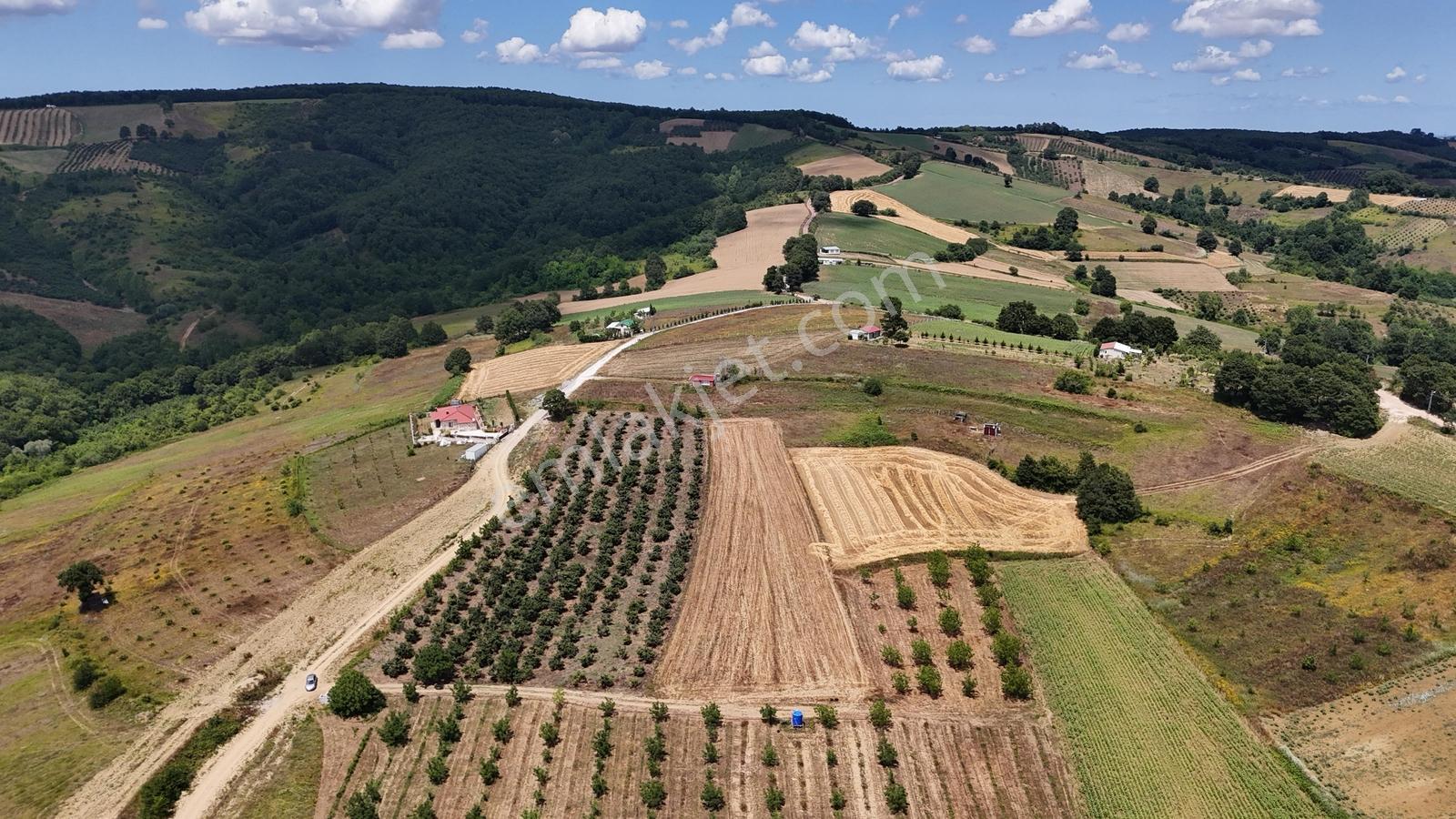 Tarcanlar'dan Akmeşe Bağlıca'da Yatırımlık 4085m2 Tarla - Görsel 14