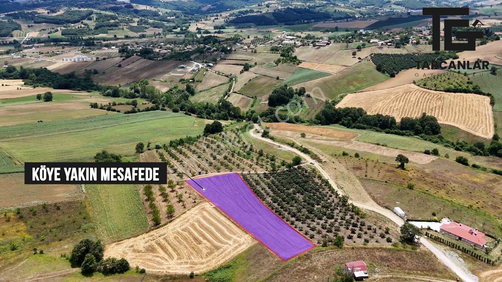 Tarcanlar'dan Akmeşe Bağlıca'da Yatırımlık 4085m2 Tarla - Görsel 19