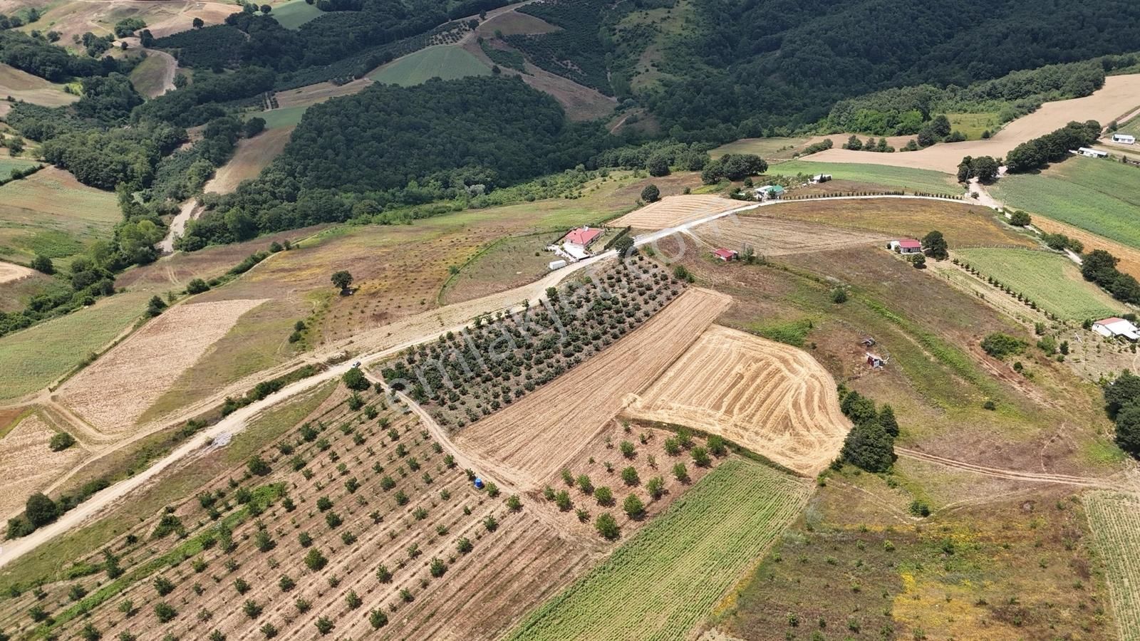 Tarcanlar'dan Akmeşe Bağlıca'da Yatırımlık 4085m2 Tarla - Görsel 17