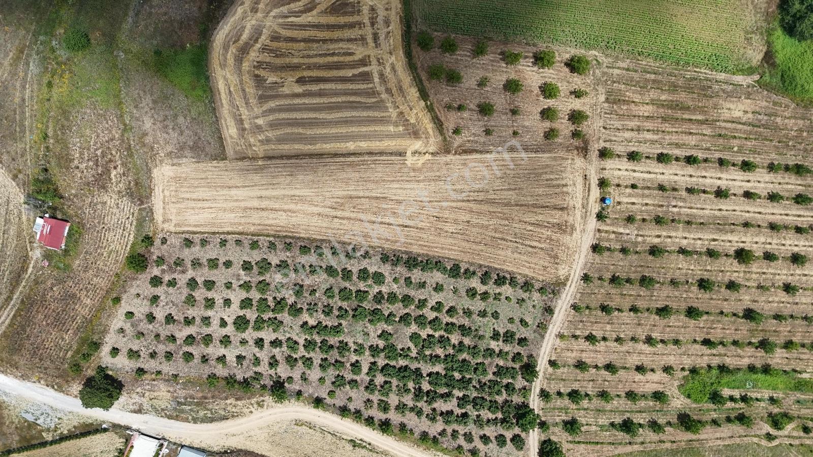 Tarcanlar'dan Akmeşe Bağlıca'da Yatırımlık 4085m2 Tarla - Görsel 11
